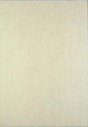 STN Bloom Crema