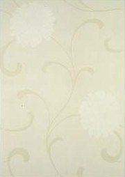 STN Bloom Crema