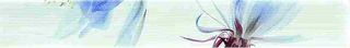 Impronta Bliss Coconut Bloom Listello F1 D