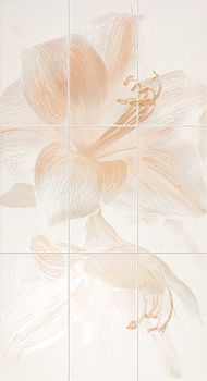 Iris Romantica Incanto Comp. Bloom Salmone