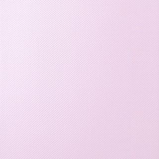 Fap Visionary Miss Fap Alba RT